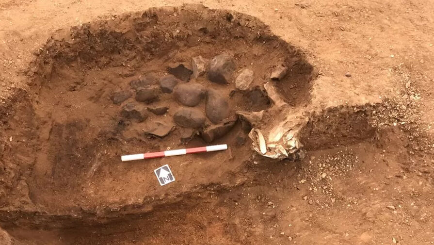 Археологи обнаружили следы пира, прошедшего 2000 лет назад