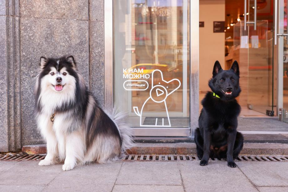 МТС в Приморье открыла свои магазины для домашних животных